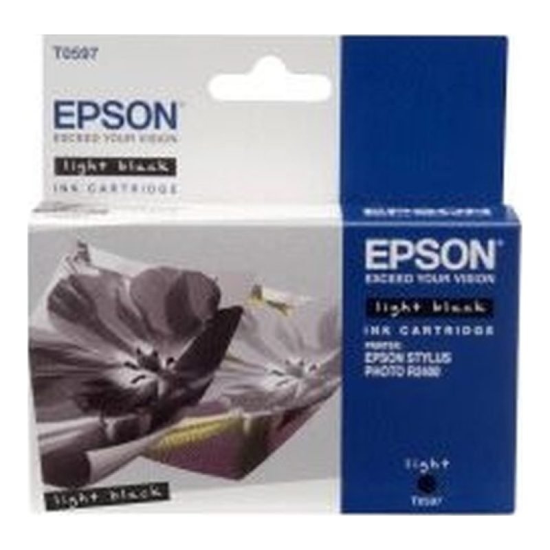 Epson R2400 C13T059740 Gri Mürekkep Kartuşu