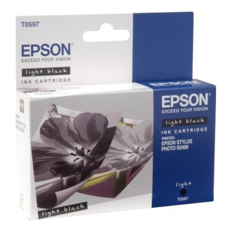 Epson R2400 C13T059740 Gri Mürekkep Kartuşu — görsel 2