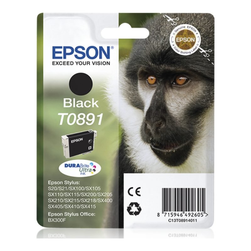 Epson T0891 C13T08914021 Siyah Mürekkep Kartuşu