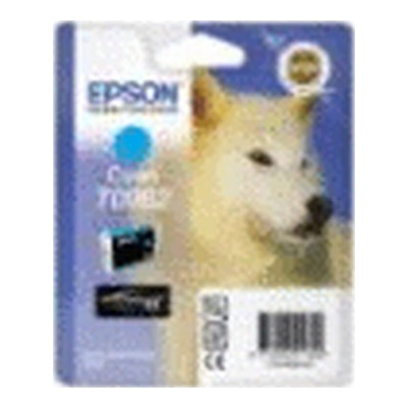 Epson T096240 C13T09624020 Foto Mavi Mürekkep Kartuşu
