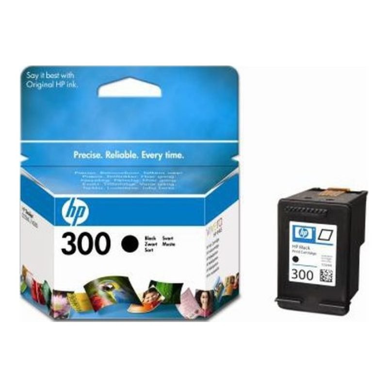HP 300 CC640E Siyah Mürekkep Kartuşu