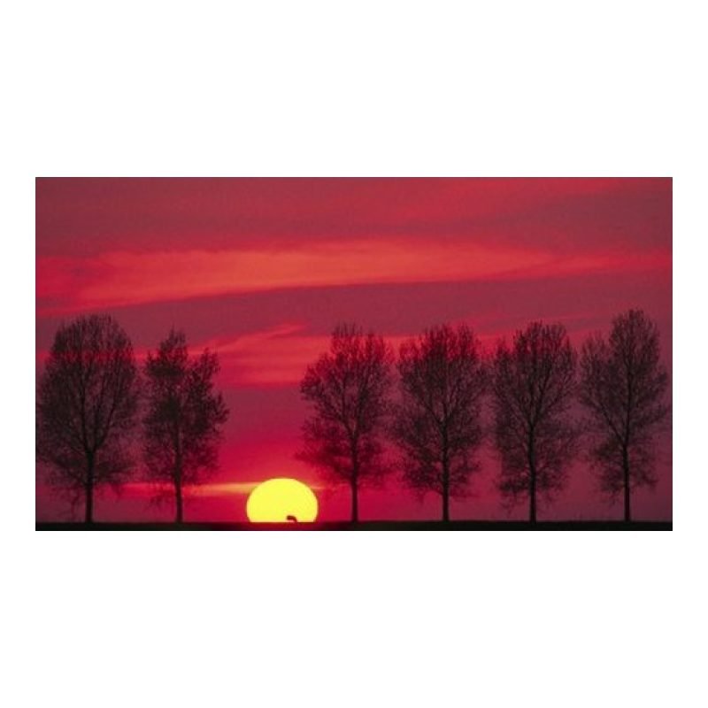 Epson Stylus Photo R800 — görsel 4