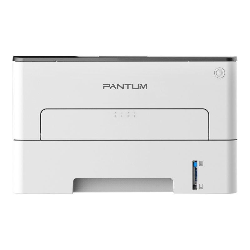 Pantum P3010d
