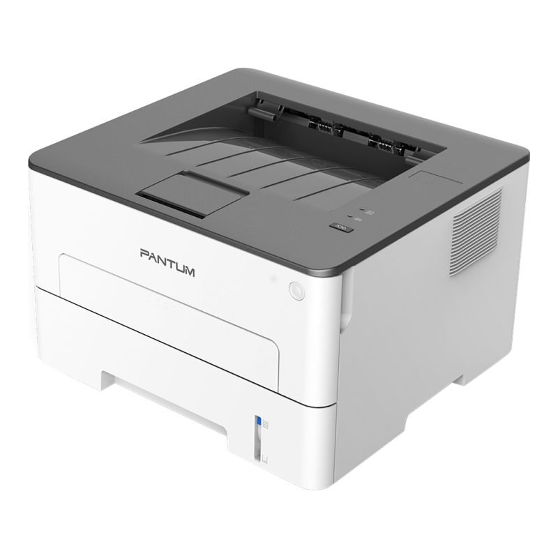 Pantum P3010d — görsel 2